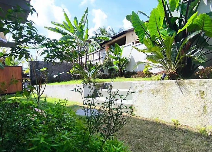 Tiga 2 *